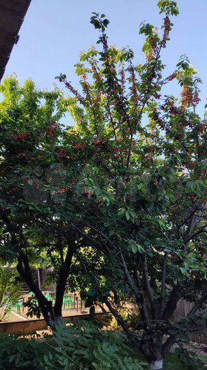 2-к. квартира, 28 м², 1/2 эт.