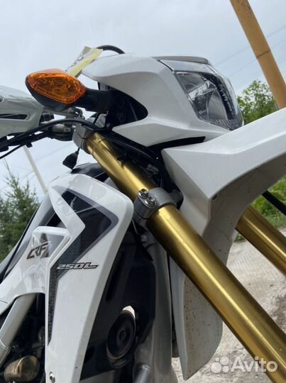 Crf250l