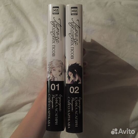 Манга Великий из бродячих псов: 1 том