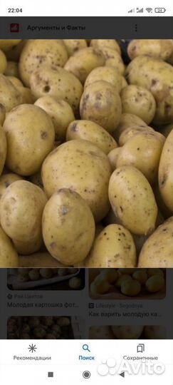 Картофель Молодой Морковь Свекла