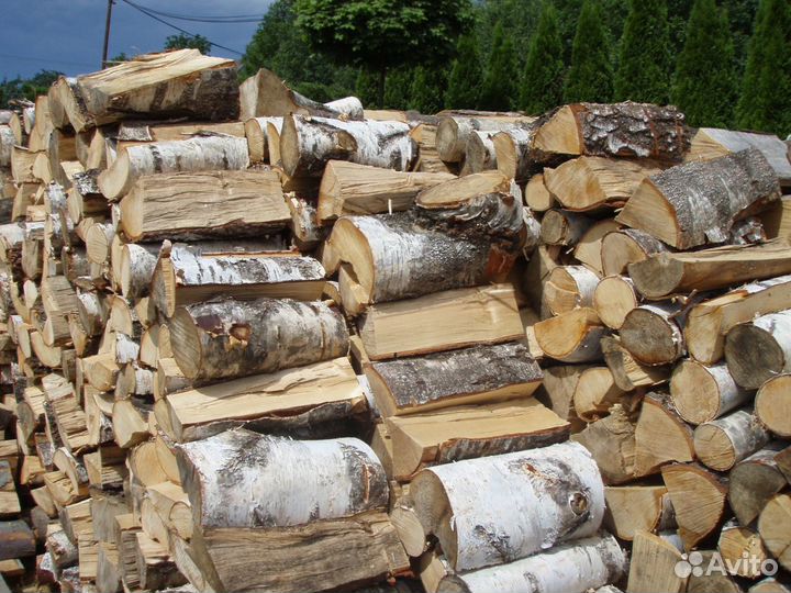 Дрова колотые березы