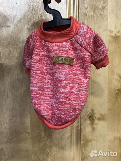 Одежда для маленькой собачки