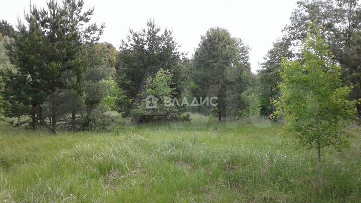 Участок 30 сот. (ИЖС)