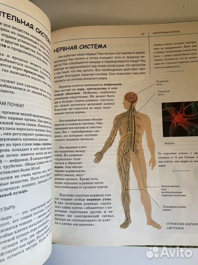 Детская энциклопедия.Человек. Яна Батий