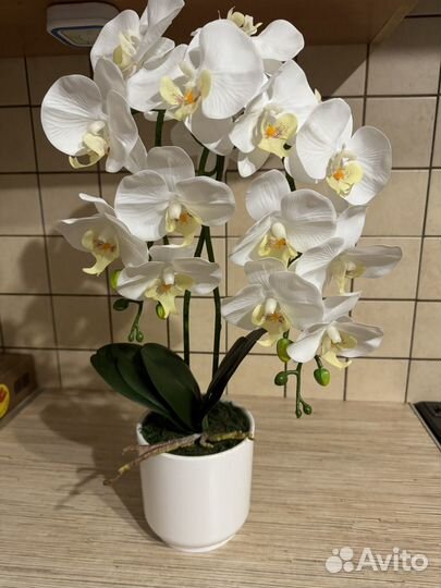 Орхидея фаленопсис исскуственная