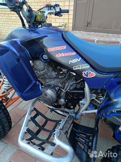 Ямаха раптор