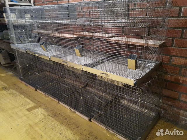 Клетки фермерские для разведения шиншилл