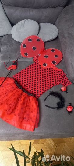 Костюм Божьей коровки