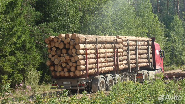 Пиловочник Круглый лес Доставка