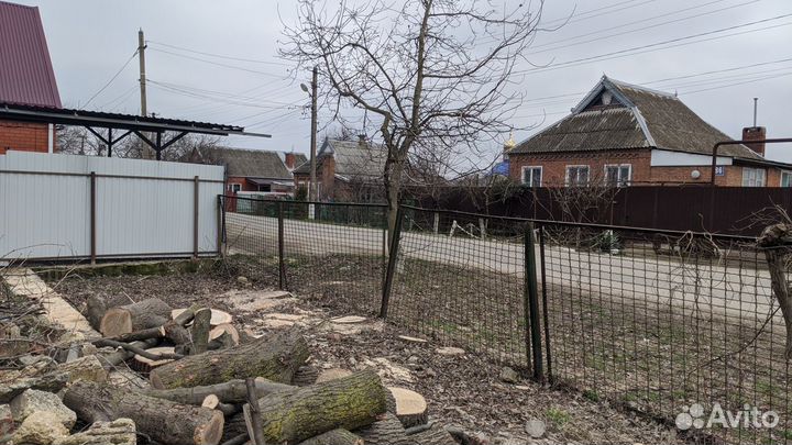 Спил деревьев