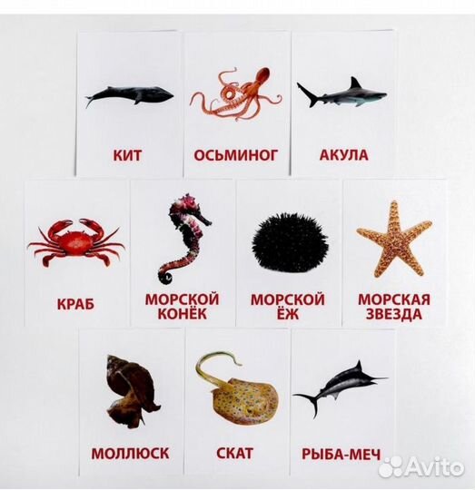 Карточки домана