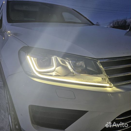 Дхо реснички