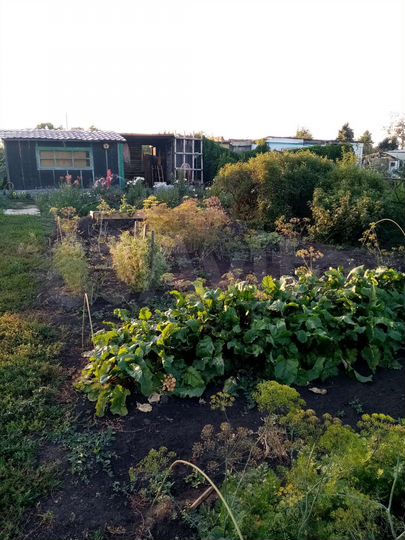 Дача 16 м² на участке 8 сот.