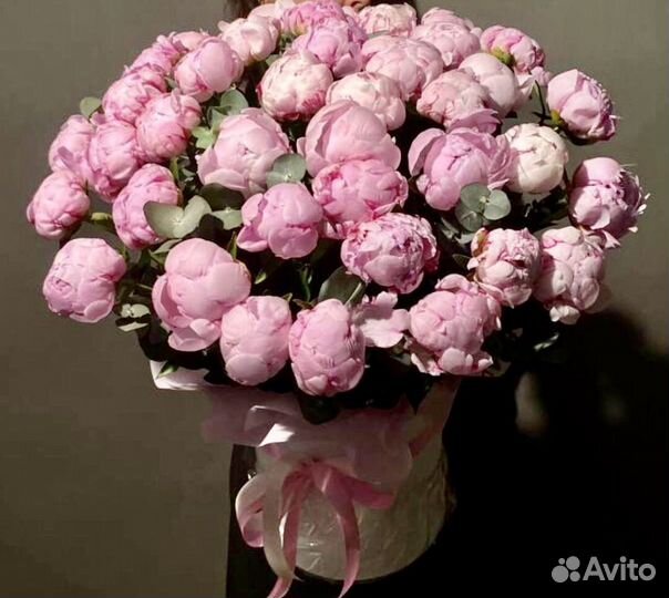 Голландские пионы