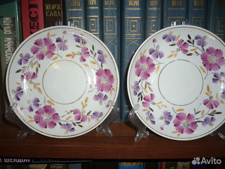 Блюдца-астры-Вербилки-55 г