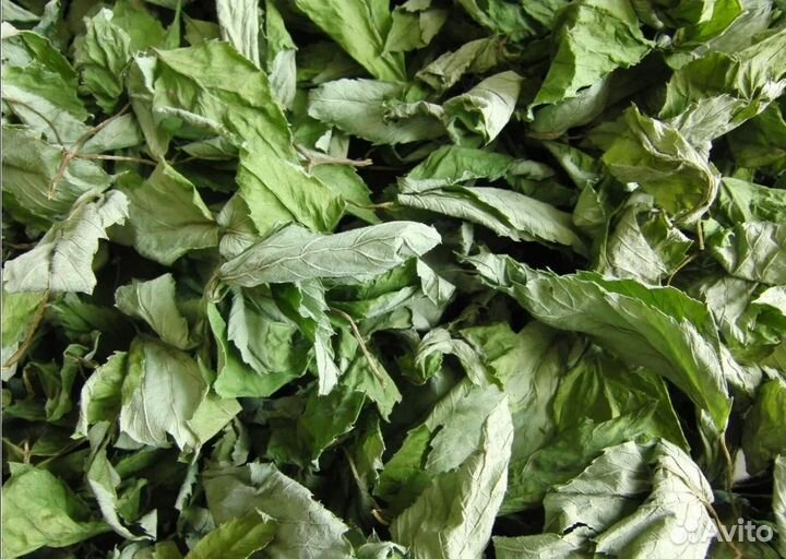 Корм для грызунов. Сушёные травы, веточки