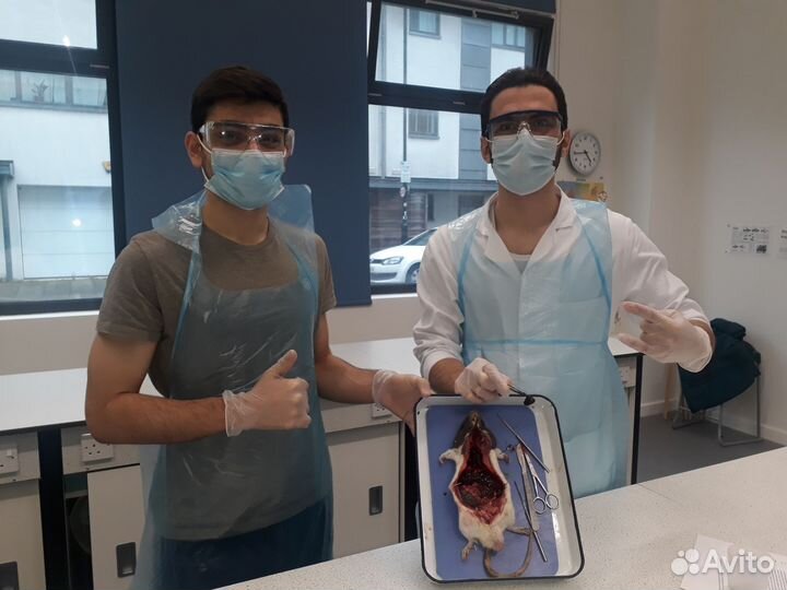 Репетитор физики, Химии и биологии