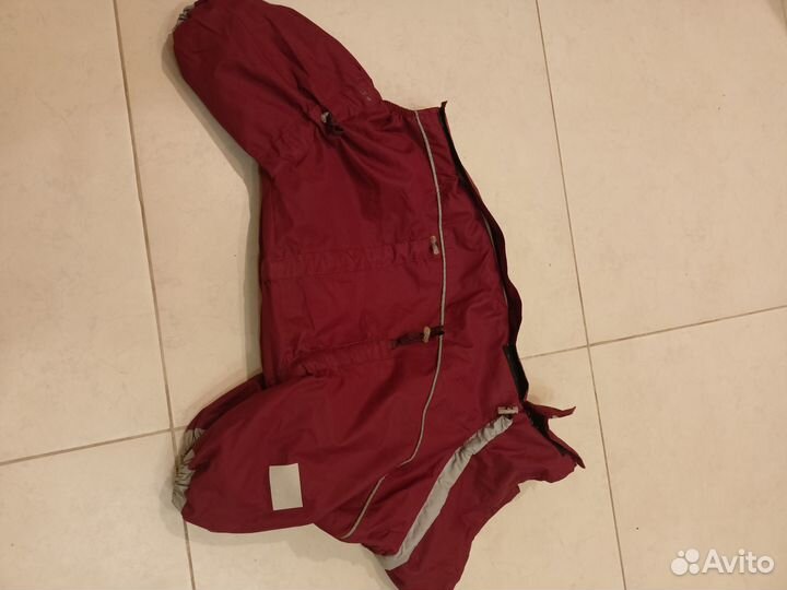 Одежда для собак