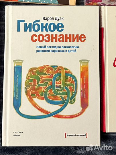 Гибкое сознание