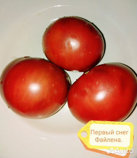 Вариегатный томат 9 сортов(семена)