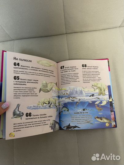 Книга животные морей и рек