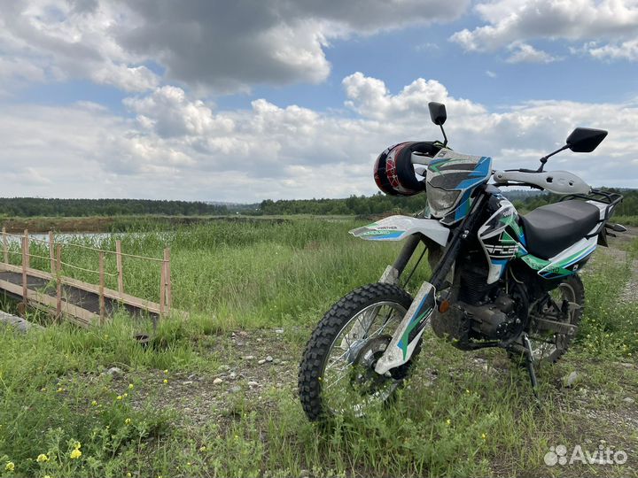 Racer panther 250
