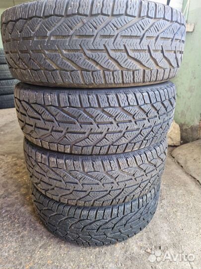 Tigar Winter 1 195/55 R16