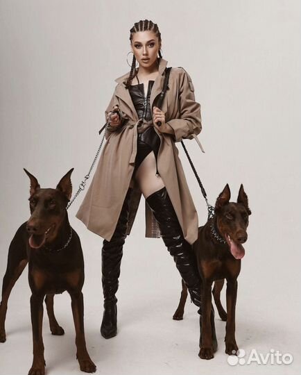 Фотосессия с доберманом