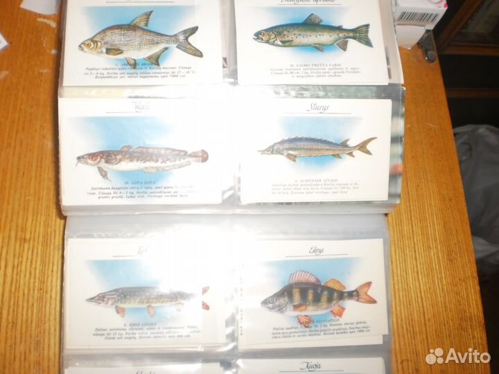 Карманные календарики СССР