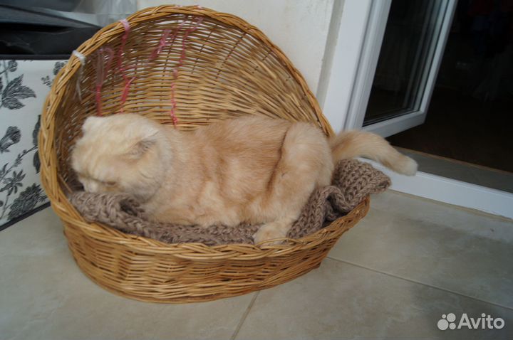 Лежанка для кота