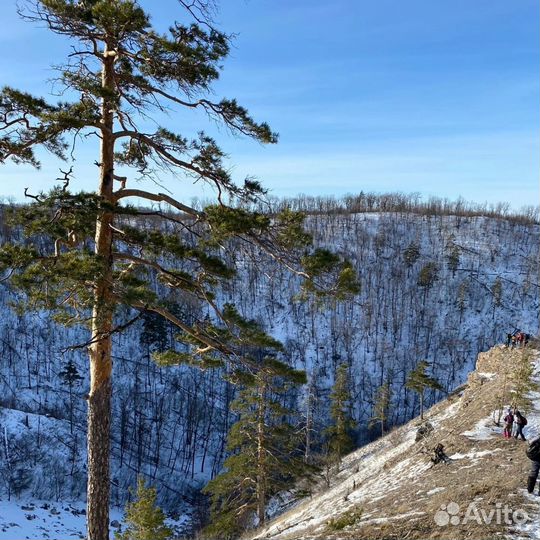Бесплатно Поход на гору Тигр