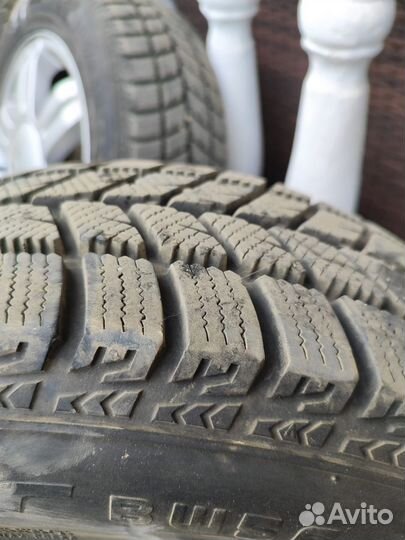 Blacklion BW56 Snowpioneer 185/65 R15