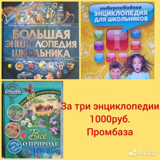 Энциклопедия Насекомых