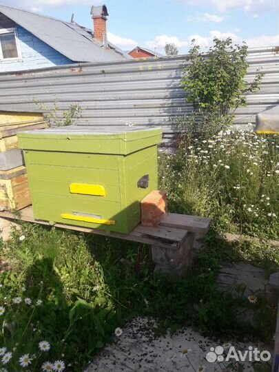 Ульи для пчел бу дадан