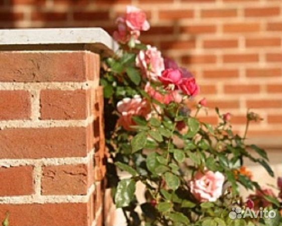 Цветной кладочный раствор для кирпича