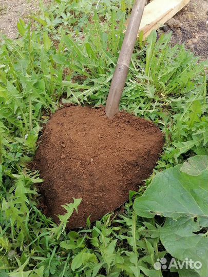 Перегной без камней и мусора Доставка