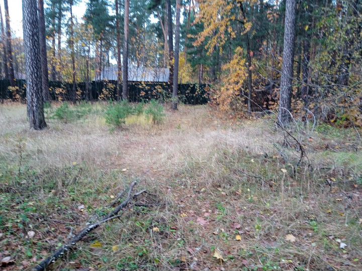 Участок 16 сот. (ИЖС)