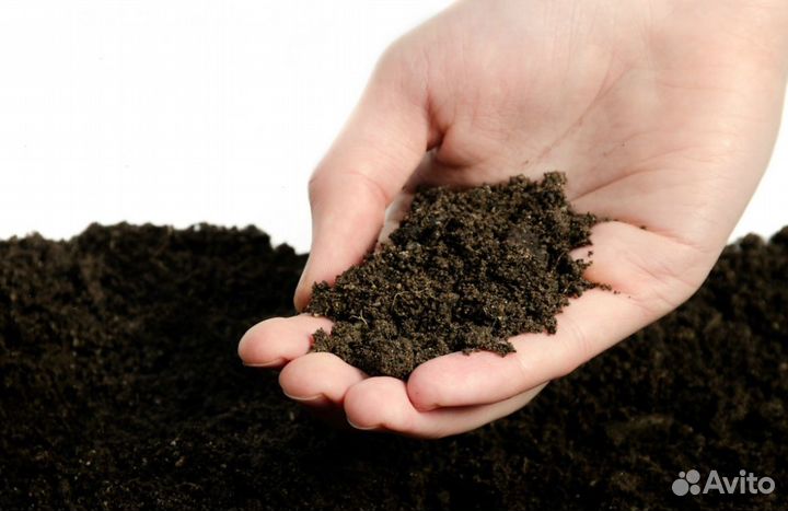 Грунт раcтитeльный