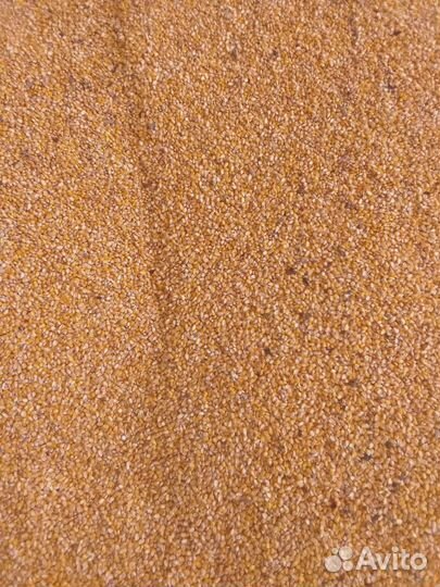 Кукуруза фураж доставка возможна