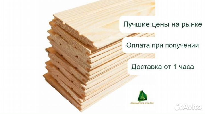 Евровагонка Хвоя