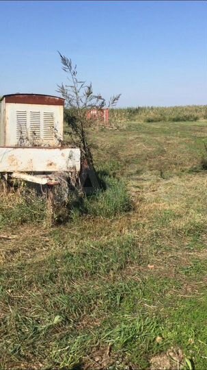 Участок 65 сот. (ИЖС)