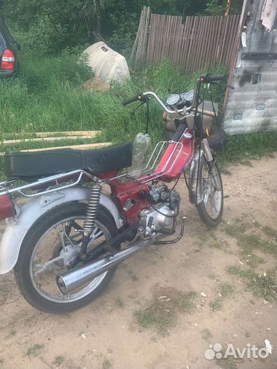 Альфа разбор