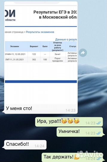 Репетитор по русскому языку и литературе