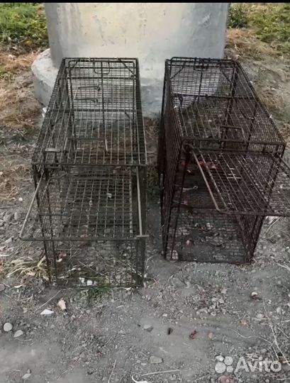 Ловец животных