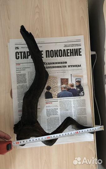 Коряга в аквариум большая