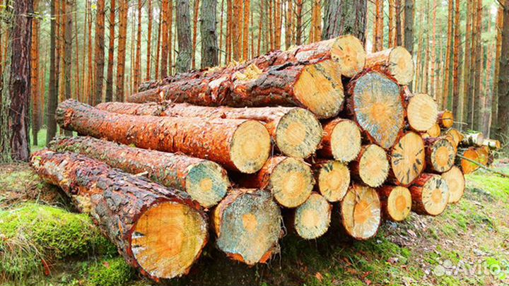 ЕГАИС Лес, QR-код