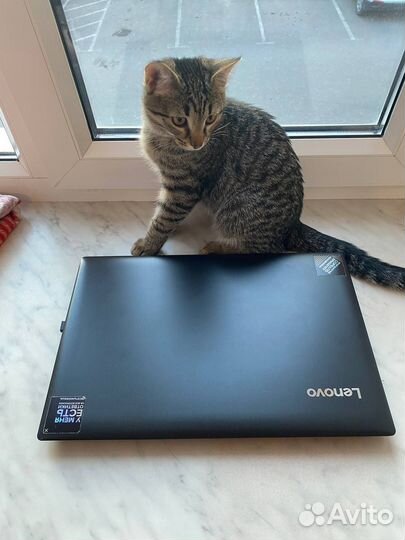 Ноутбук lenovo 81DE