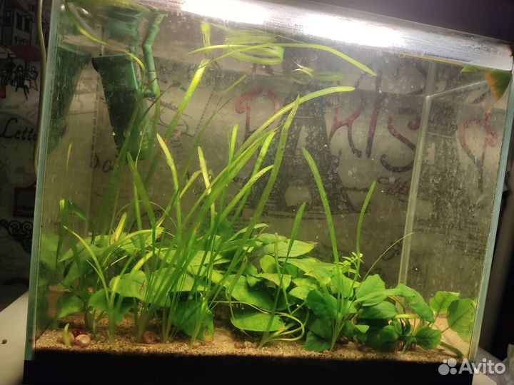Аквариум с комплектом