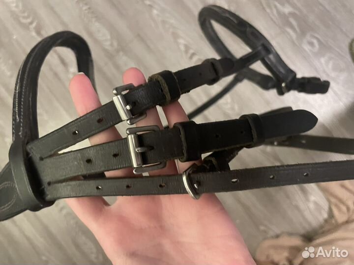 Уздечка,трензеля