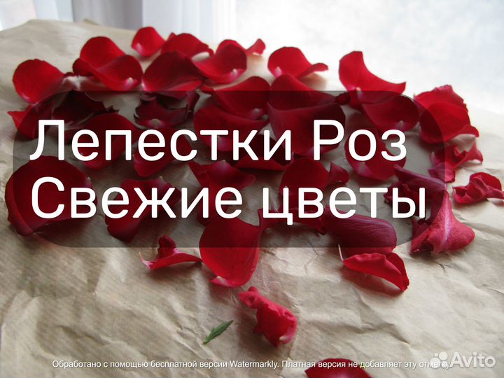 Лепестки Розы большие Колумбия